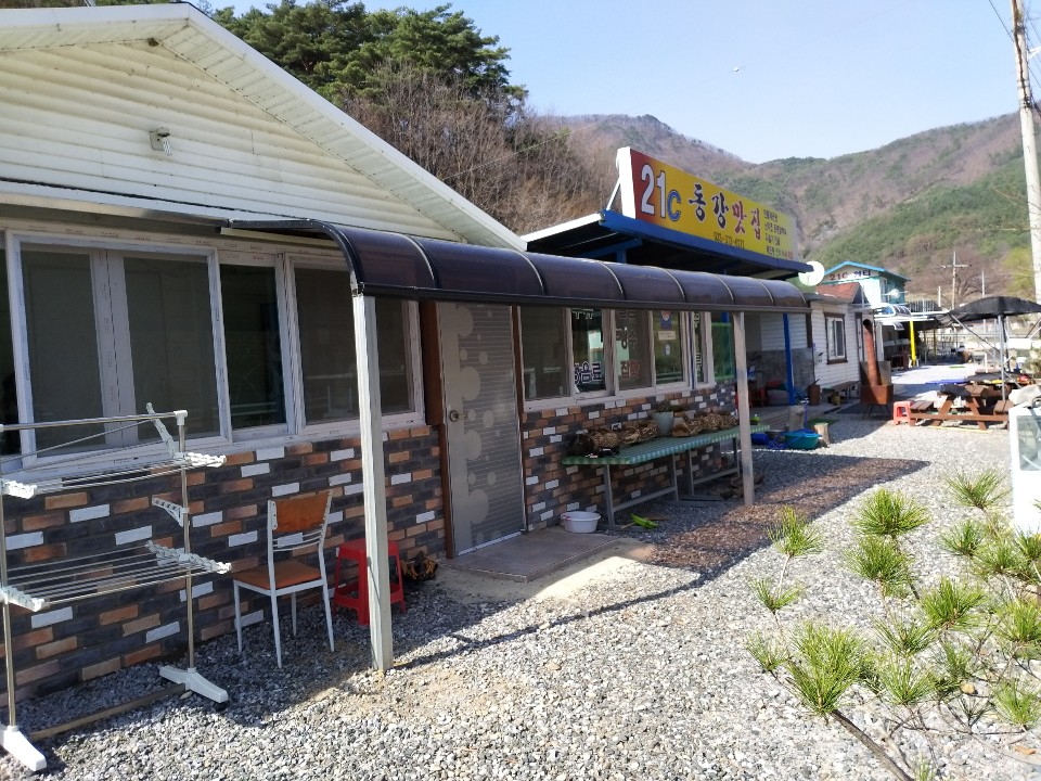 21세기 동강펜션