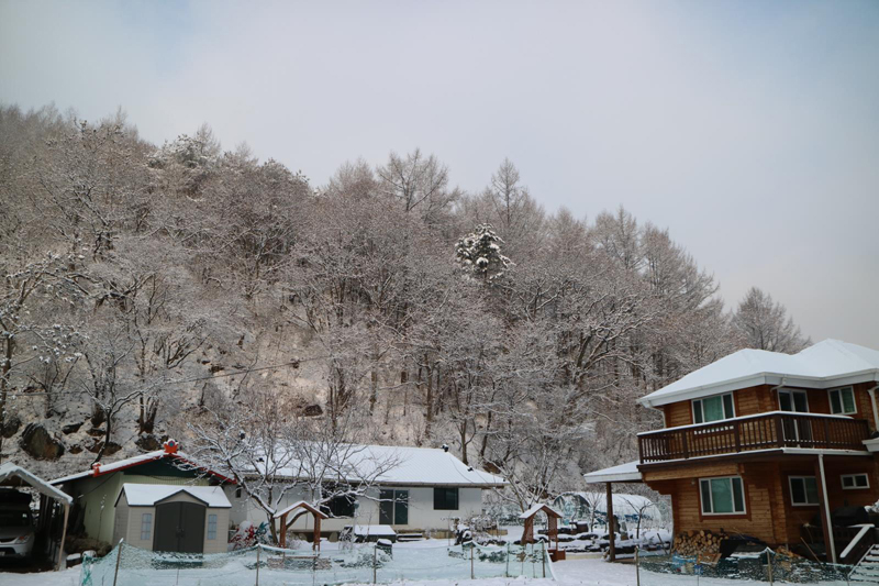 매룬통나무집_00003.jpg