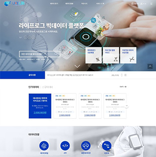 빅데이터 플랫폼 및 센터 구축 사업
